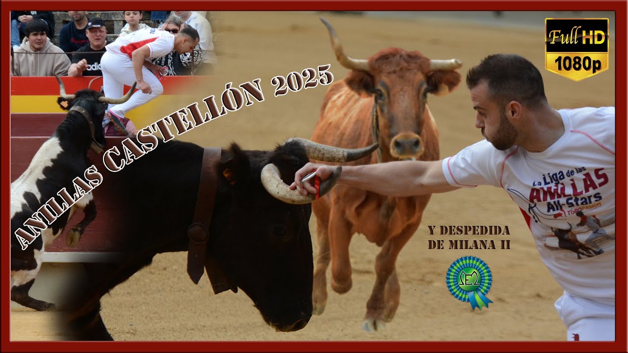 CONCURSO ANILLAS CASTELLÓN (23/03/2025) y despedida de Milana II