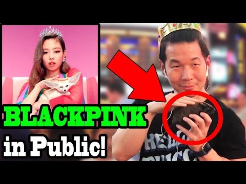 blackpink---ddu-du-ddu-du-뚜두뚜두---kpop-dance-in-public!!