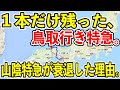 【1日1本だけの鳥取行き】特急はまかぜ5号を始発の大阪から終点の鳥取まで乗り通してみた【山陰特急が衰退した理由】