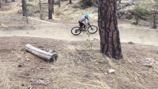 12 year old riding Hollywood beacon hill wa