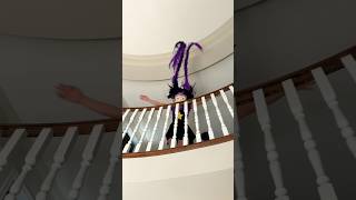 LILY’S BRAIDS ARE ALIVE!!