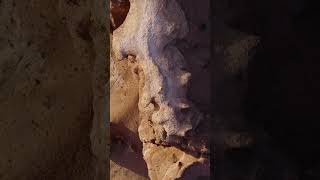 Charyn Canyon in 13 Seconds: Kazakhstan’s Hidden Natural Wonder #climbing #nature #adventure