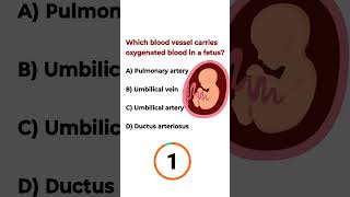 NEET Biology MCQ | NEET MCQ