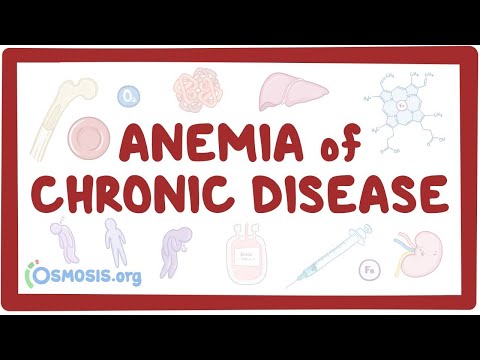Anemia of chronic disease - an Osmosis Preview