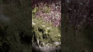 Make Plants Grow Using Geo Nodes in Blender l Tutorial Part 1 #blender #blender3d  #blendertutorial