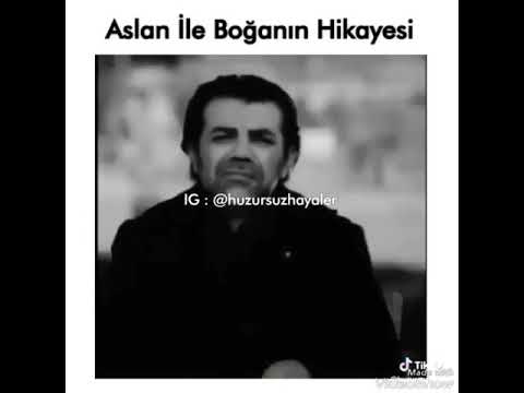 Hızır reis aslan boğa hikayesi