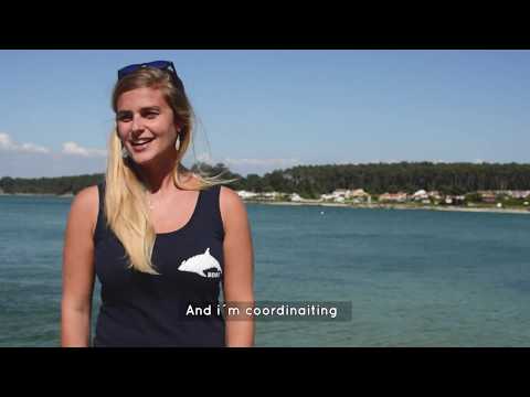 BDRI internship intern