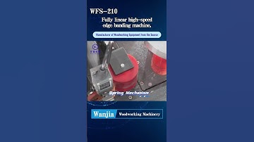 WFS-210 Fully linear high-speed edge banding machine #woodworking  #woodmachine #furniture #wood