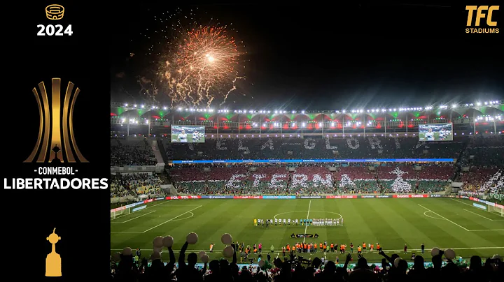 Copa Libertadores 2024 Stadiums - DayDayNews