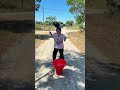 The Dogs Jumped Into a Bucket… Then Something Grabbed the Stick! 😱🐶🪣