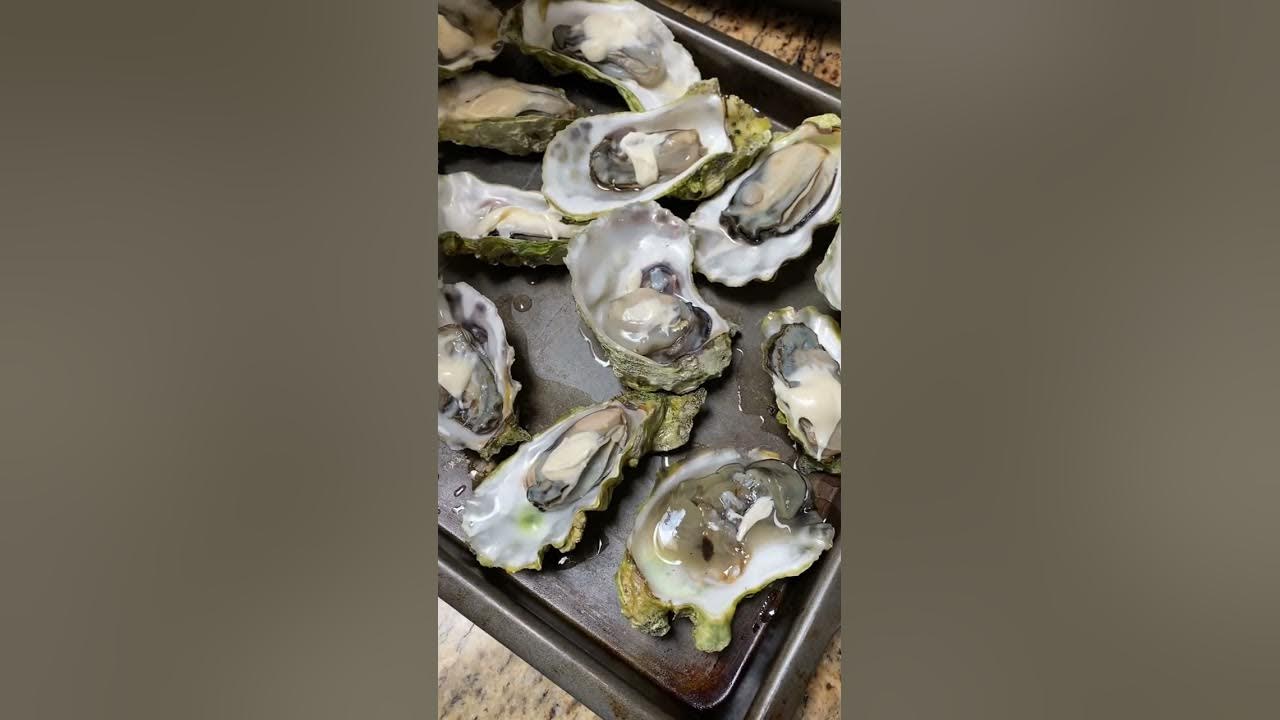 Oysters recipe how to easily open oysters youtube