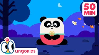 ACTION SONGS FOR KIDS 🙌🎶| Nursery Rhymes | Lingokids