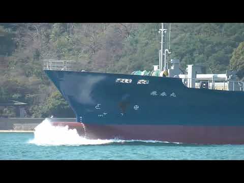 内航貨物船　飛春丸　航行