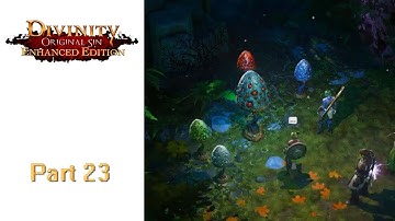 Into Luculla Forest | Divinity: Original Sin EE 23