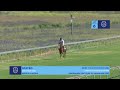 Lot 6 - STATED - THE UNITED STATES (IRE) x DUCHESS'S GREETING_ 22 October 2023