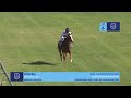 Lot 6 - STATED - THE UNITED STATES (IRE) x DUCHESS'S GREETING_ 22 October 2023