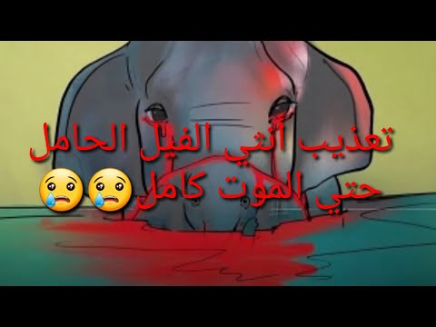 تعذيب الانثي الفيل حتي الموت القصه كامله