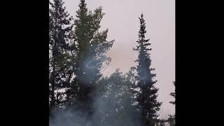 Homemade Firework FAILS