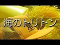 星稜 海のトリトン 応援歌 2018夏 第100回 高校野球