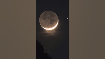 وَلَا تُطِعْ كُلَّ حَلَّافٍ مَهِينٍ||سورة القلم||اسلام صبحي