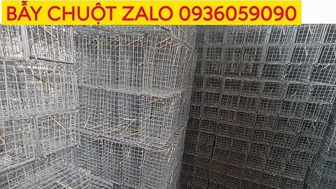 BÁN LỒNG BẪY CHUỘT THEO ĐƯỜNG MÒN. LỒNG BẪY CHUỘT KHÔNG DÙNG MỒI. LỒNG BẪY CHUỘT ĐÀN. LÒ XO BẪY.