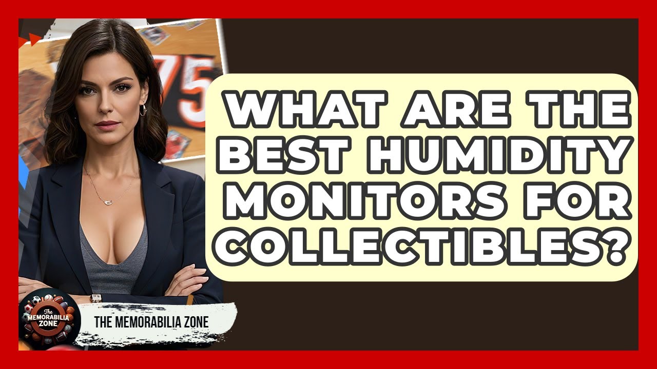 What Are The Best Humidity Monitors For Collectibles? - The Memorabilia Zone