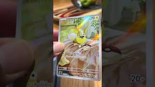English or Japanese #pokemon #pokemoncards #sipandrip #collectiblecards #gottacatchemall #yamper