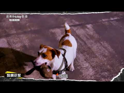 第二集漏網花絮_第一天是爽得要死 累得半死_極島冒險 溜浪玖壹壹_friDay影音每周獨家播出