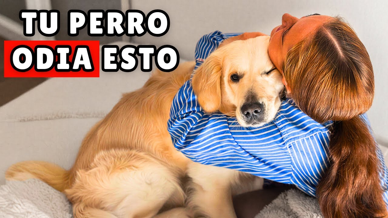 100 ERRORES que debes dejar de cometer con tu PERRO