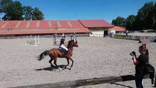 Natal Koligová A Vogen,Trojanovice,70Cm Na Styl