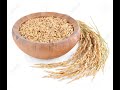 Chi tui hmanga buh chi sawngbawl dan /Selection of Paddy Seed Using Brine Solution