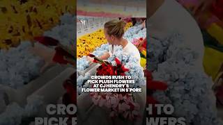 Crowds rush to pick plush flowers on first day of Cj Hendry’s Flower Market