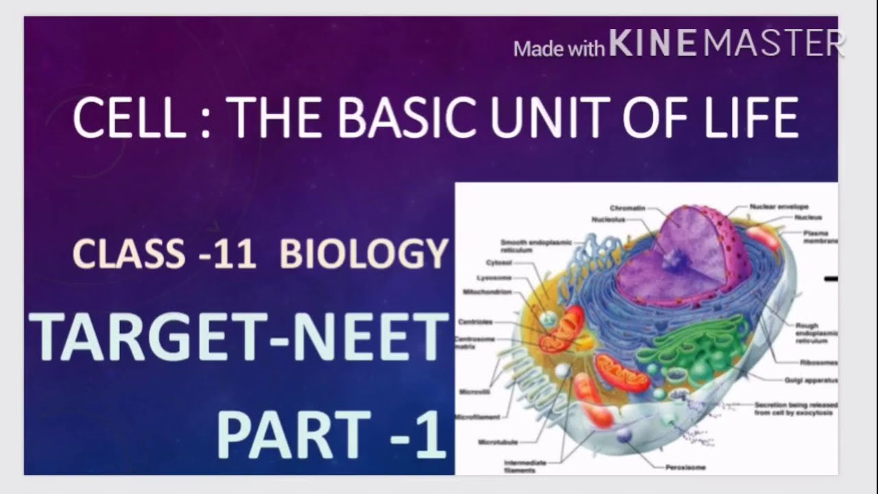 CELL THE BASIC UNIT OF LIFE CLASS 11 PART 1 CONCEPT CLEARED CELL THE BASIC UNIT OF LIFE CLASS 11 PART 1 CONCEPT CLEARED