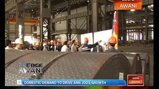 Domestic demand to drive Ann Joo's growth