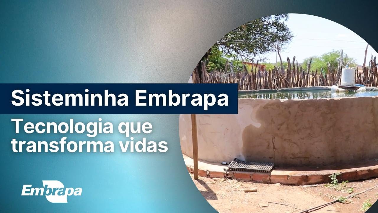 Estrutura do Sisteminha Embrapa