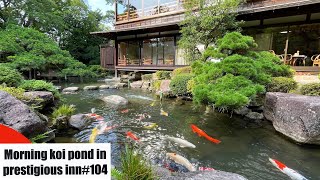 Koi pond in a prestigious inn 'Matsudaya hotel, Yamaguchi, Japan'山口、松田屋ホテル