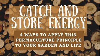 Catch and Store Energy: 4 Areas of Our Lives to Apply the 2nd Principle of Permaculture