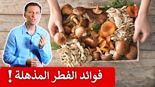 ٧ أنواع فطر يجب معرفتها لها فوائد علاجية مذهلة مثل الفطر الريشي!