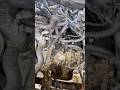 2009 Toyota Camry Transmission Removal Part 1 #automobile #mechanic #diy #toyota #camry #carparts