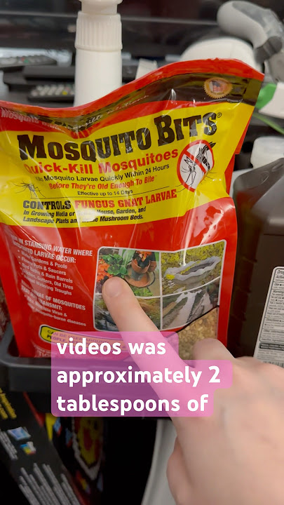Mosquito Bits! DESTROY fungus gnat larvae! #succulents