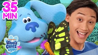 Blue Josh Find A Butterfly More Adventures Vlog Ep 56 Blues Clues You