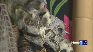 FRIGHT NIGHTS: Halfway to Halloween takes over Chinatown Honolulu