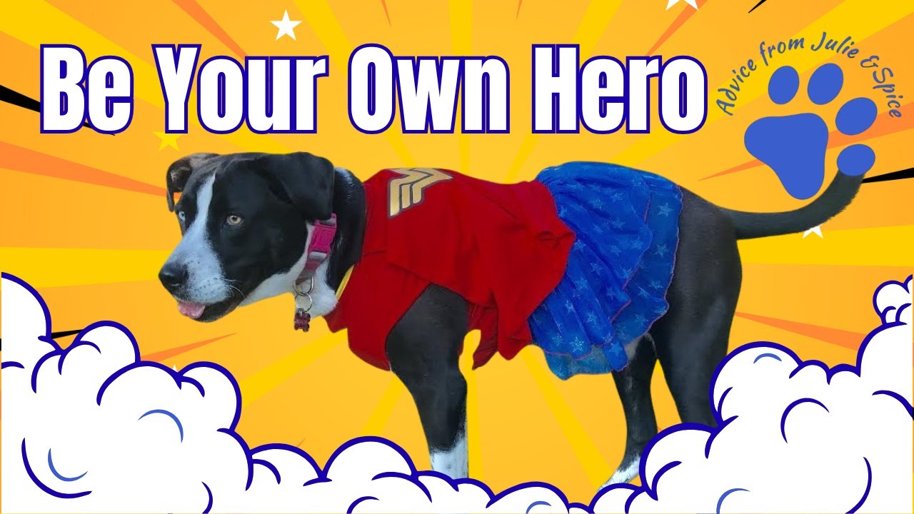 Be Your Own Superhero | Life Lessons from My Wonder Dog Spice 🐾💛