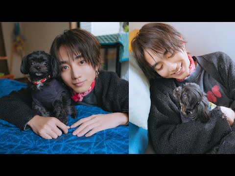 とても珍しい　仔犬の伊万里 とても珍しい 仔犬の伊万里