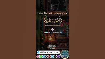 ﴿زُيِّنَ لِلنَّاسِ حُبُّ الشَّهَوَاتِ مِنَ النِّسَاءِ وَالْبَنِينَ..﴾[آل عمران:14]#القارئ_بدر_التركي