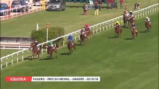 Vidéo de la course PMU PRIX DU MESNIL