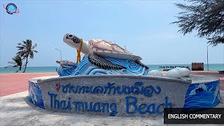 🇹🇭 THAILEX VDO Thai Meuang Beach, Nesting Ground of the Majestic Sea Turtles