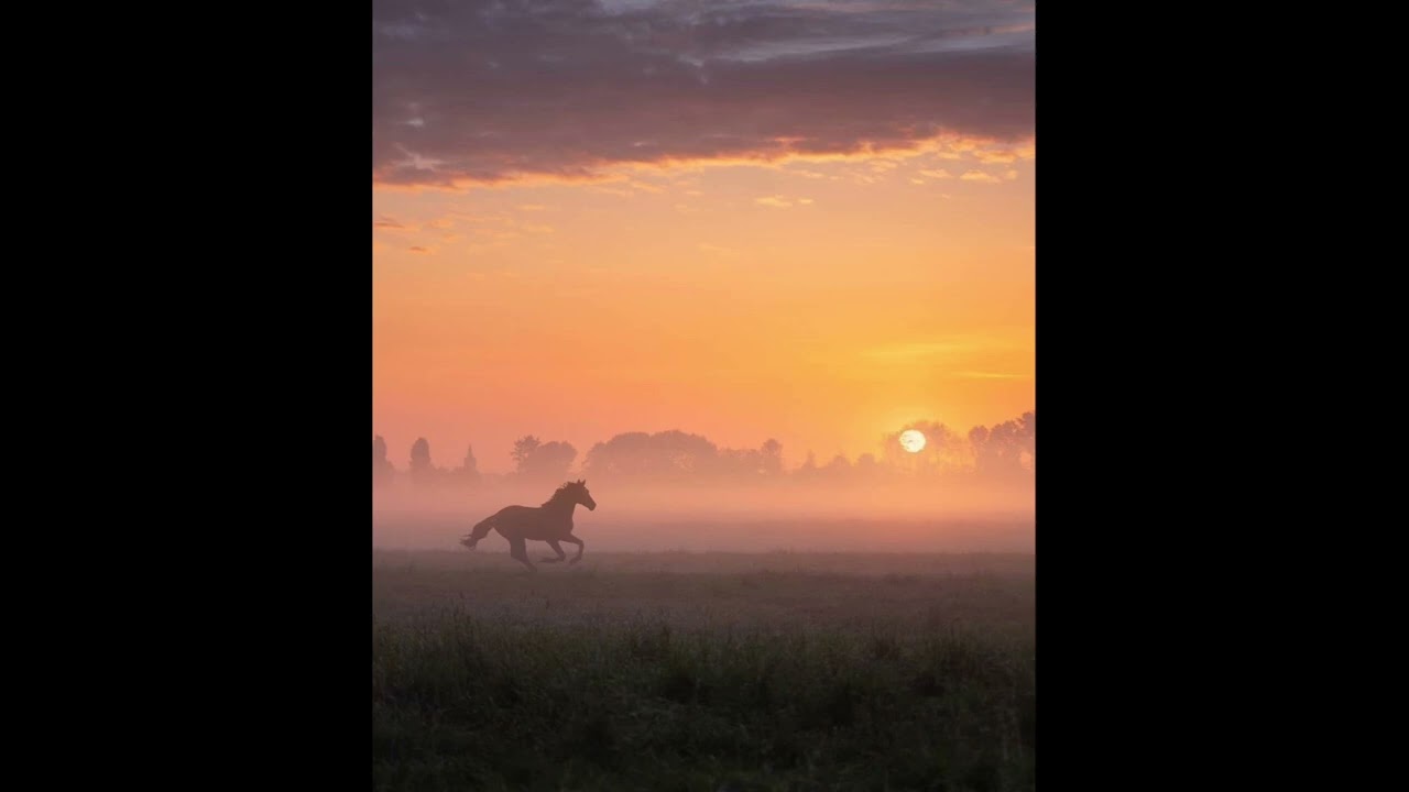 [free] YEAT x A DANGEROUS LYFE type beat 