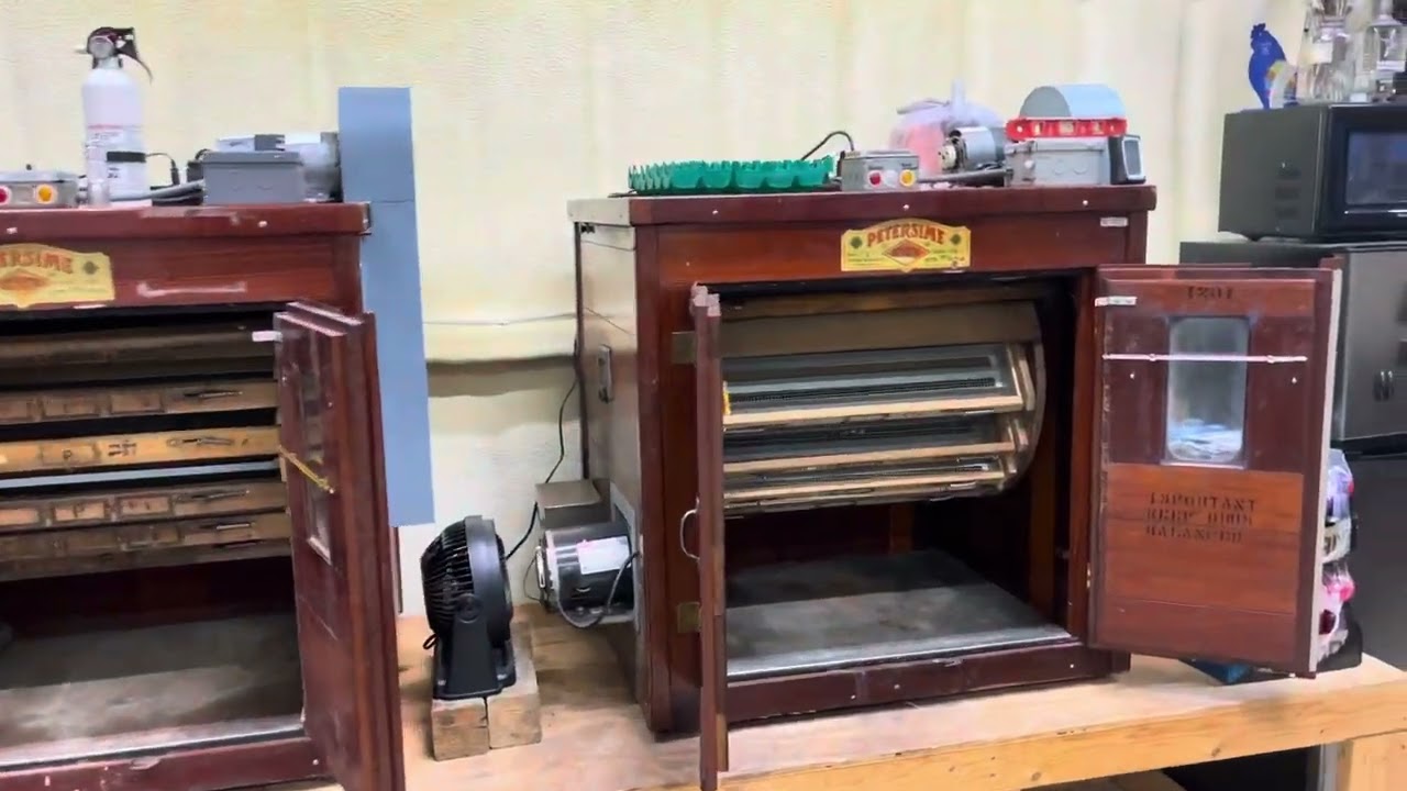 Petersime redwood incubators at Bob’s Green Peafowl