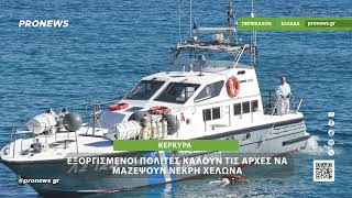 Εξοργισμένοι πολίτες στην Κέρκυρα καλούν τις Αρχές να μαζέψουν νεκρή χελώνα